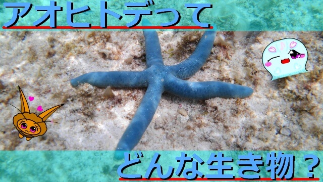 Thumbnail of post image 188